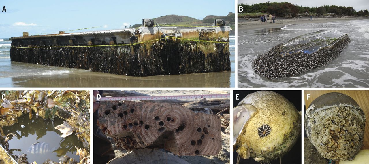 carlton et al 2017