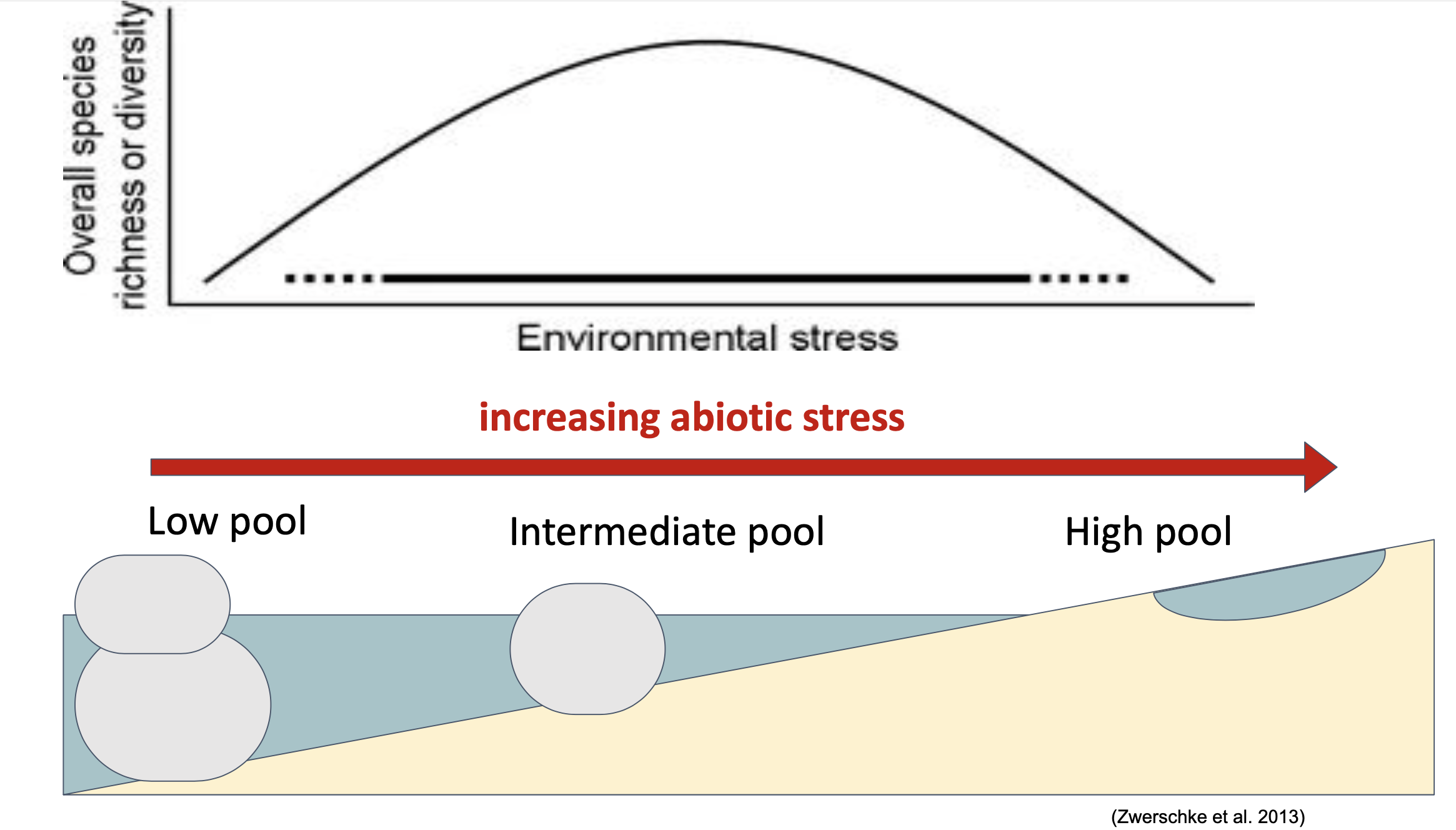 graphical-abstract