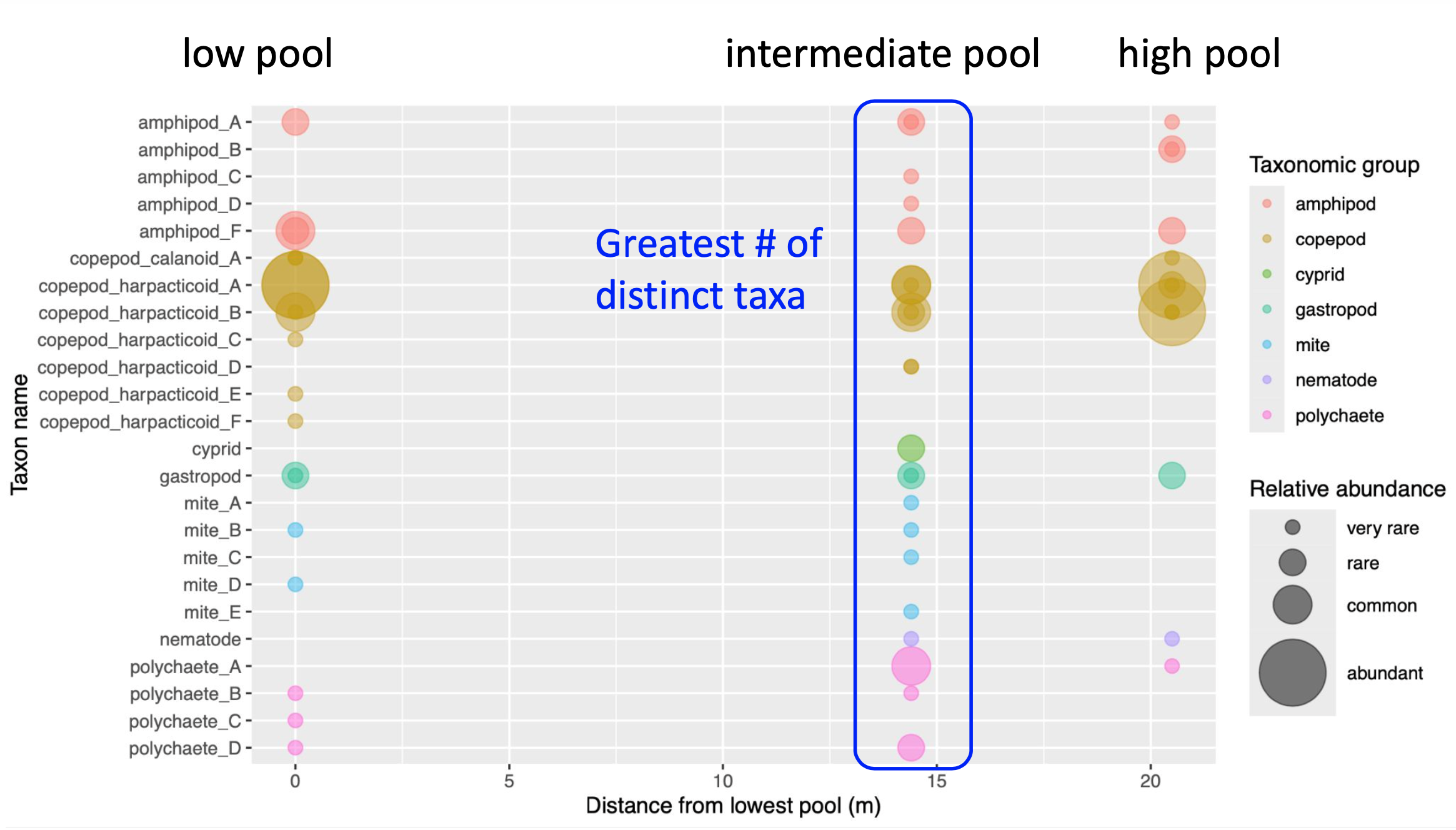 rplot