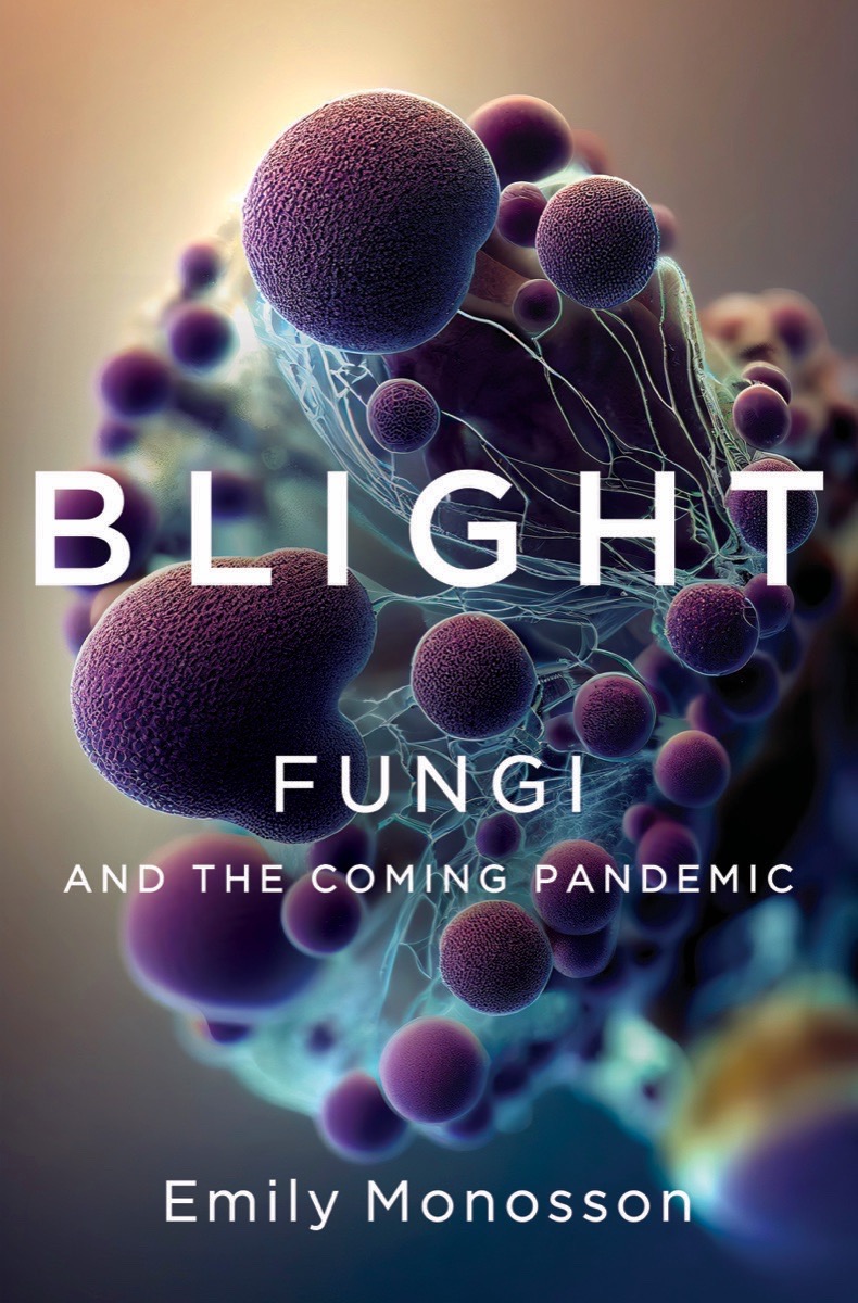 blight book cover