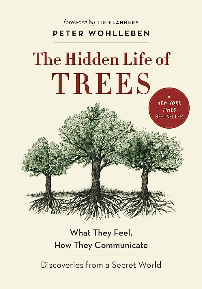 The hidden life of trees (book cover)